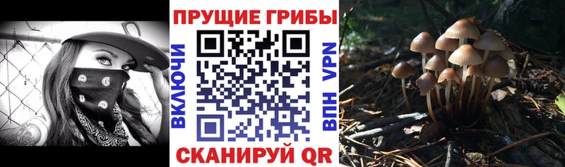 Галлюциногенные грибы Cubensis  Ноябрьск 